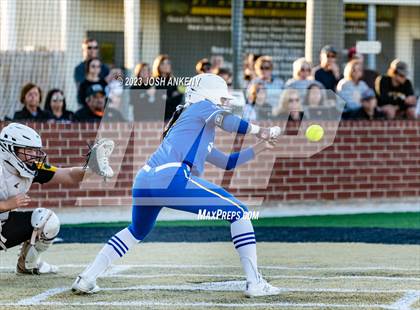 Thumbnail 3 in Live Oak @ St. Amant photogallery.