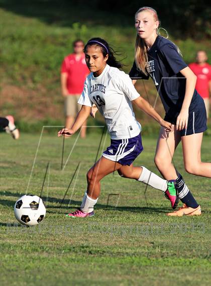 Thumbnail 1 in South-Dolye @ Sevier County photogallery.