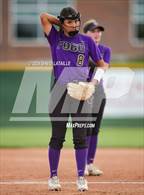 Photo from the gallery "Fort Collins @ Windsor"
