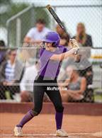 Photo from the gallery "Fort Collins @ Windsor"