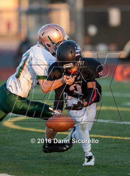 Thumbnail 2 in Campo Verde @ Williams Field photogallery.