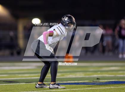Thumbnail 3 in Foster @ Fulshear photogallery.