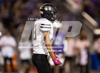 Thumbnail 2 in Foster @ Fulshear photogallery.