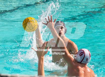 Thumbnail 2 in El Modena @ Canyon photogallery.