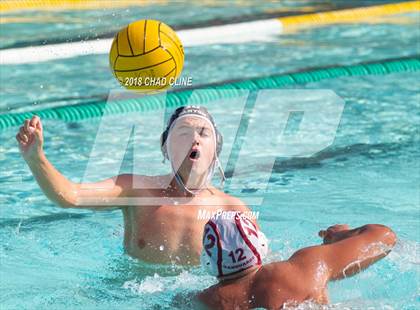 Thumbnail 1 in El Modena @ Canyon photogallery.