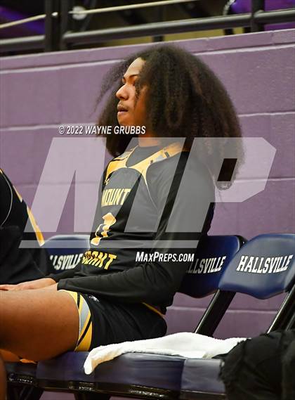 Thumbnail 2 in Mt. Pleasant @ Hallsville photogallery.
