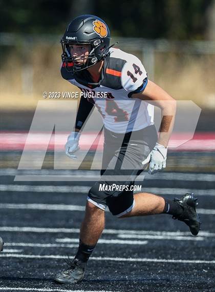 Thumbnail 1 in Zillah @ Tenino photogallery.