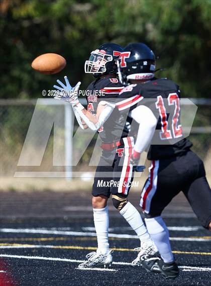 Thumbnail 1 in Zillah @ Tenino photogallery.