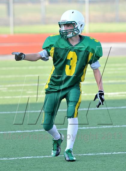 Thumbnail 3 in Little Elm @ Newman Smith photogallery.