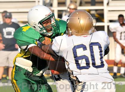 Thumbnail 1 in Little Elm @ Newman Smith photogallery.