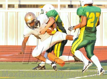 Thumbnail 3 in Little Elm @ Newman Smith photogallery.