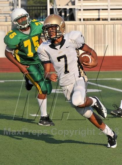 Thumbnail 3 in Little Elm @ Newman Smith photogallery.
