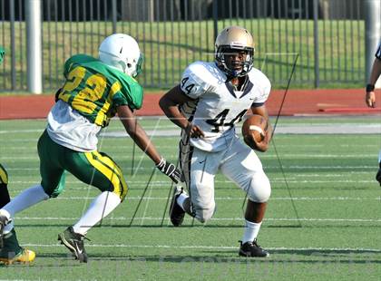 Thumbnail 1 in Little Elm @ Newman Smith photogallery.