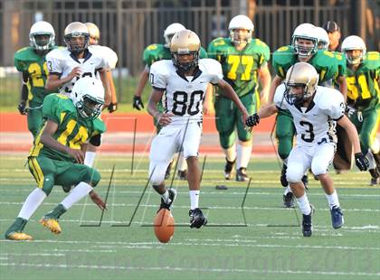 Thumbnail 3 in Little Elm @ Newman Smith photogallery.