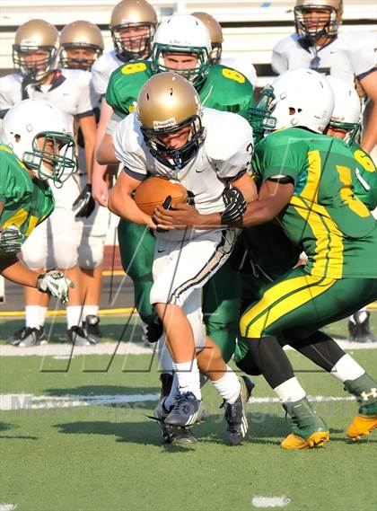 Thumbnail 1 in Little Elm @ Newman Smith photogallery.