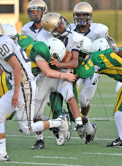 Thumbnail 3 in Little Elm @ Newman Smith photogallery.