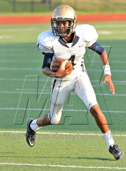 Thumbnail 1 in Little Elm @ Newman Smith photogallery.