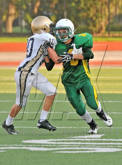 Thumbnail 1 in Little Elm @ Newman Smith photogallery.