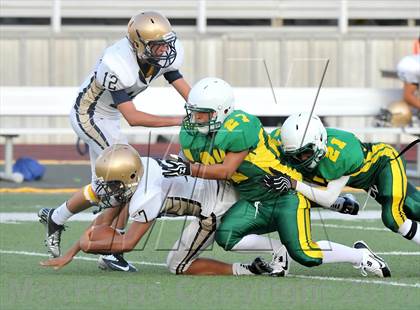 Thumbnail 3 in Little Elm @ Newman Smith photogallery.