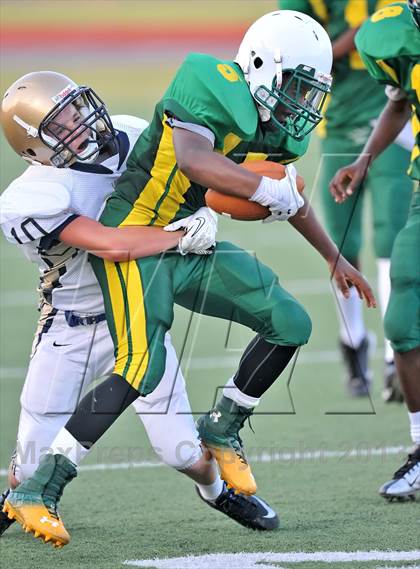 Thumbnail 2 in Little Elm @ Newman Smith photogallery.