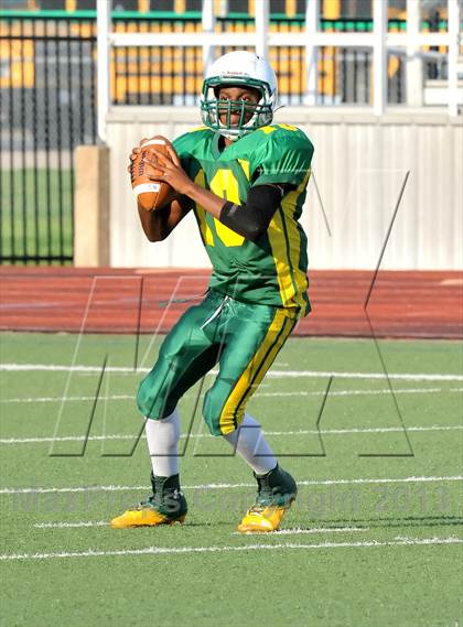 Thumbnail 1 in Little Elm @ Newman Smith photogallery.