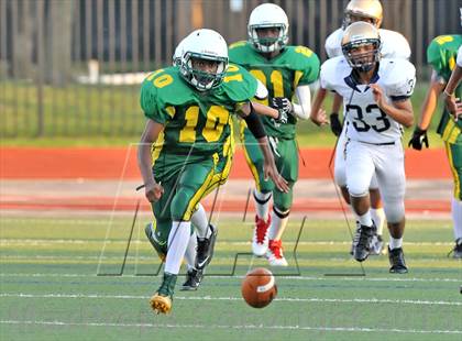 Thumbnail 2 in Little Elm @ Newman Smith photogallery.