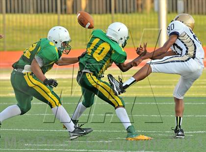 Thumbnail 3 in Little Elm @ Newman Smith photogallery.