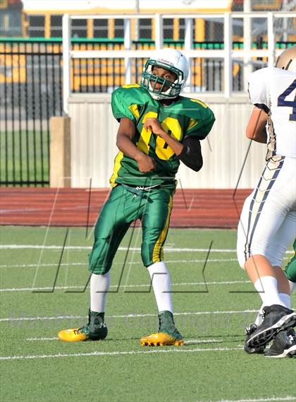 Thumbnail 3 in Little Elm @ Newman Smith photogallery.