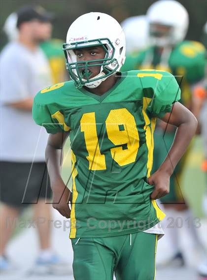 Thumbnail 3 in Little Elm @ Newman Smith photogallery.