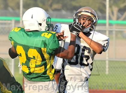 Thumbnail 3 in Little Elm @ Newman Smith photogallery.