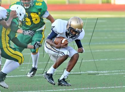 Thumbnail 3 in Little Elm @ Newman Smith photogallery.