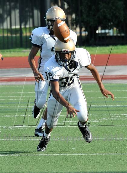 Thumbnail 2 in Little Elm @ Newman Smith photogallery.