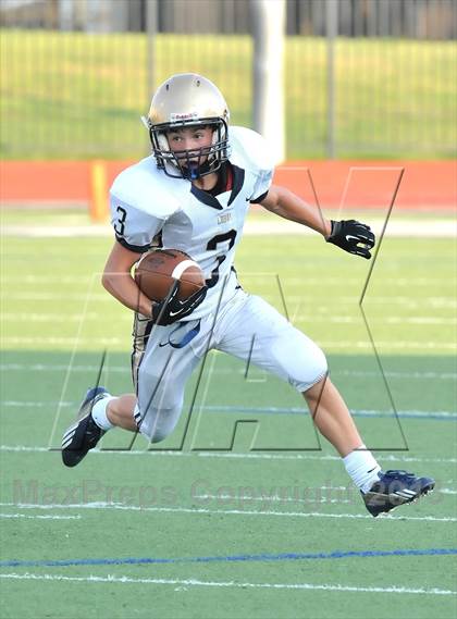 Thumbnail 3 in Little Elm @ Newman Smith photogallery.