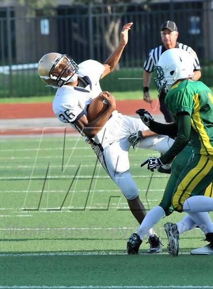 Thumbnail 3 in Little Elm @ Newman Smith photogallery.