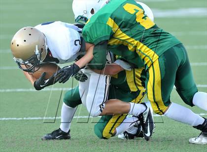 Thumbnail 3 in Little Elm @ Newman Smith photogallery.