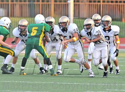 Thumbnail 2 in Little Elm @ Newman Smith photogallery.