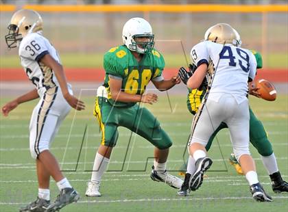 Thumbnail 2 in Little Elm @ Newman Smith photogallery.