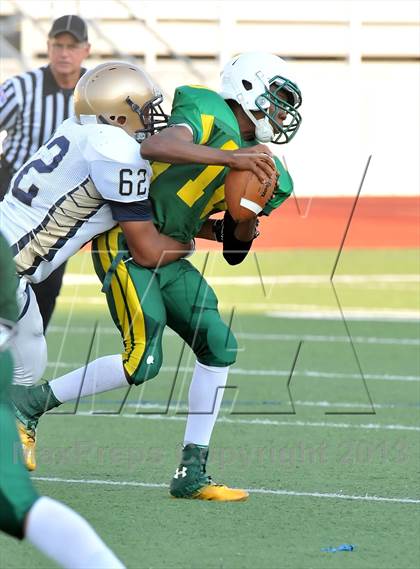 Thumbnail 1 in Little Elm @ Newman Smith photogallery.