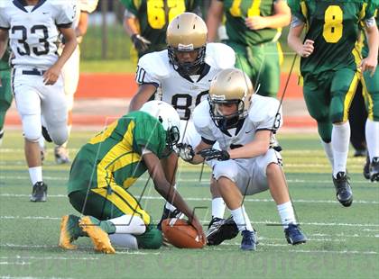 Thumbnail 1 in Little Elm @ Newman Smith photogallery.