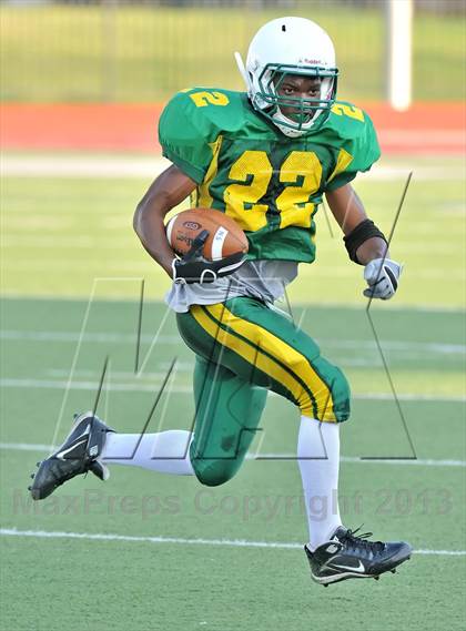 Thumbnail 3 in Little Elm @ Newman Smith photogallery.