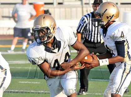 Thumbnail 2 in Little Elm @ Newman Smith photogallery.