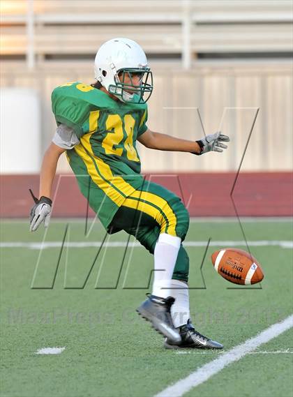 Thumbnail 2 in Little Elm @ Newman Smith photogallery.