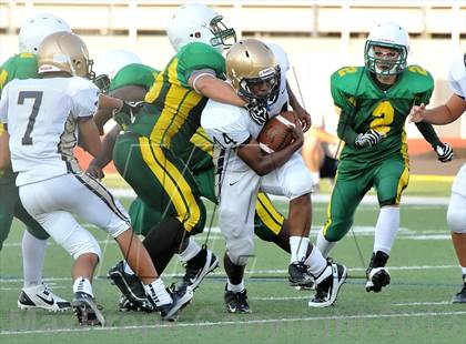 Thumbnail 1 in Little Elm @ Newman Smith photogallery.