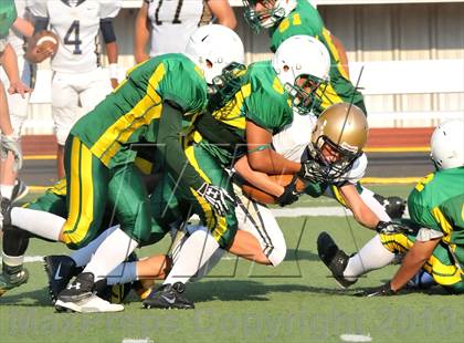Thumbnail 3 in Little Elm @ Newman Smith photogallery.