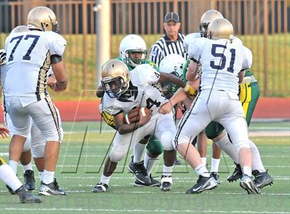 Thumbnail 3 in Little Elm @ Newman Smith photogallery.