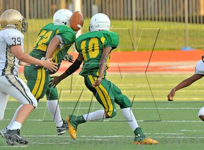 Thumbnail 2 in Little Elm @ Newman Smith photogallery.