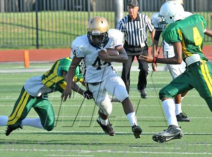 Thumbnail 3 in Little Elm @ Newman Smith photogallery.