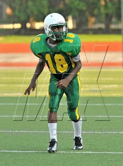 Thumbnail 3 in Little Elm @ Newman Smith photogallery.
