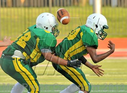 Thumbnail 1 in Little Elm @ Newman Smith photogallery.