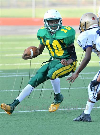 Thumbnail 1 in Little Elm @ Newman Smith photogallery.